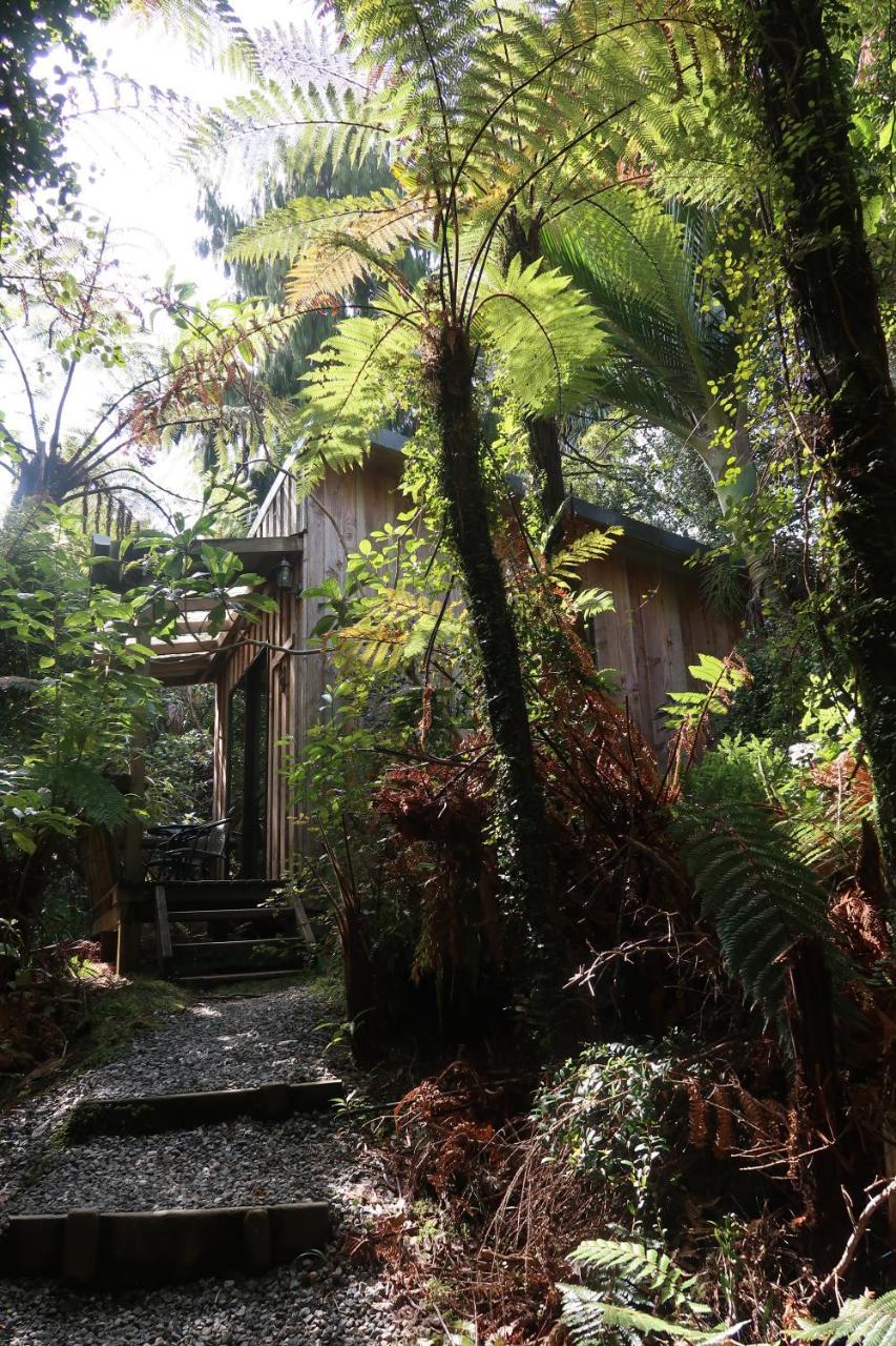 Villa Te Nikau Retreat à Punakaiki Chambre photo